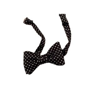 ☃️Dion Bow Tie